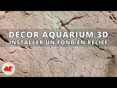 Vidéo: Comment faire un fond d'aquarium de poisson en 3D