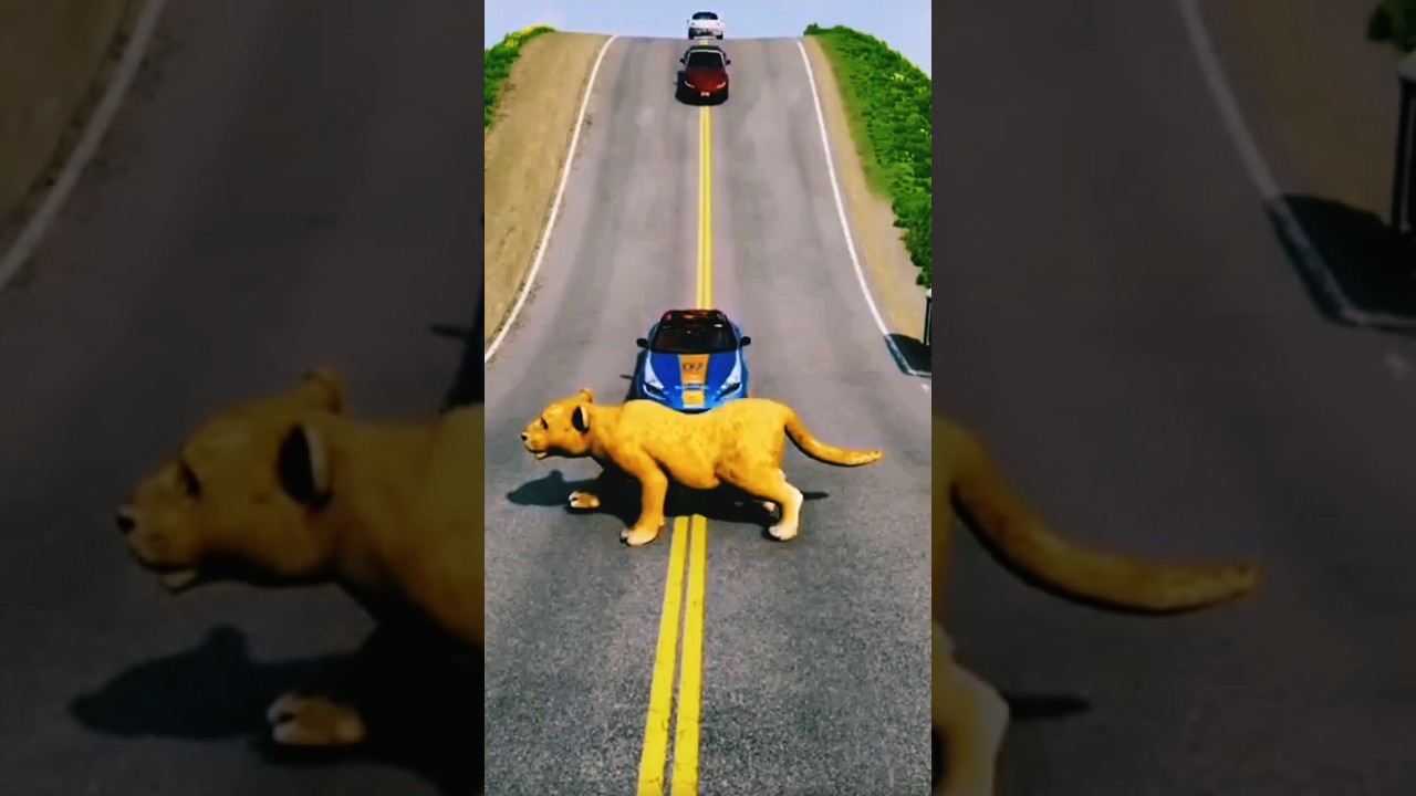 A Lion Cross the Road 🛣️ | Big Accident Realistic Jeep 
