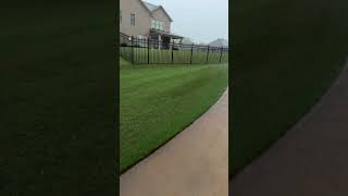 Golf Course Lawn April Rain Update 💦 ⛳️ #golfcourselawn