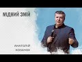 Мідний змій | Анатолій Козачок | Проповідь