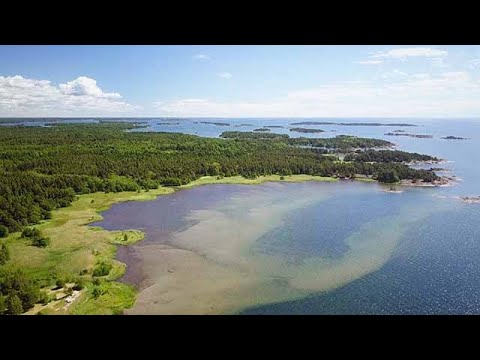 Video: Intressanta Fakta Om Svarta Havet - Alternativ Vy