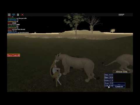 Roblox Wild Savannah Hunting Youtube - tree hopping wild savannah roblox youtube