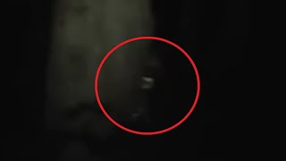 5 Dogman Caught on Camera & Spotted in Real Life