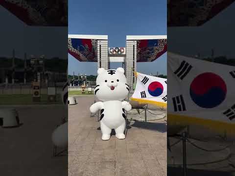 8.15 광복절! 저와 함께 태극기를 달아보아요🇰🇷 #올림픽공원 #shorts