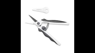Famous My Impression of Scrapbook.com's Easy Grip Scissors Wealth