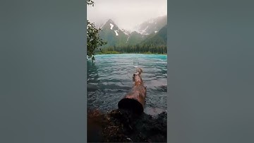 القارئ محمد اللحيدان ما تيسر من سوره (الحجر)