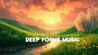 Smooth Lofi Beats for Study Time & Deep Focus | Shadow’s Study Beats