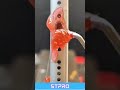 Phone Charging Port Cleaning Method