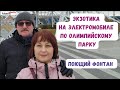 🔥 Экзотика: ездим на электромобиле по Олимпийскому парку. Поющий фонтан. Имеретинская набережная.