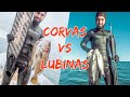 🔱Pesca submarina en ALICANTE. Aprendiendo a pescar. Ep.6 (viendo Murcia y Valencia)