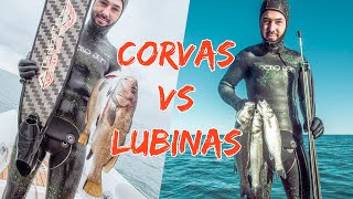 🔱Pesca submarina en ALICANTE. Aprendiendo a pescar. Ep.6 (viendo Murcia y Valencia)