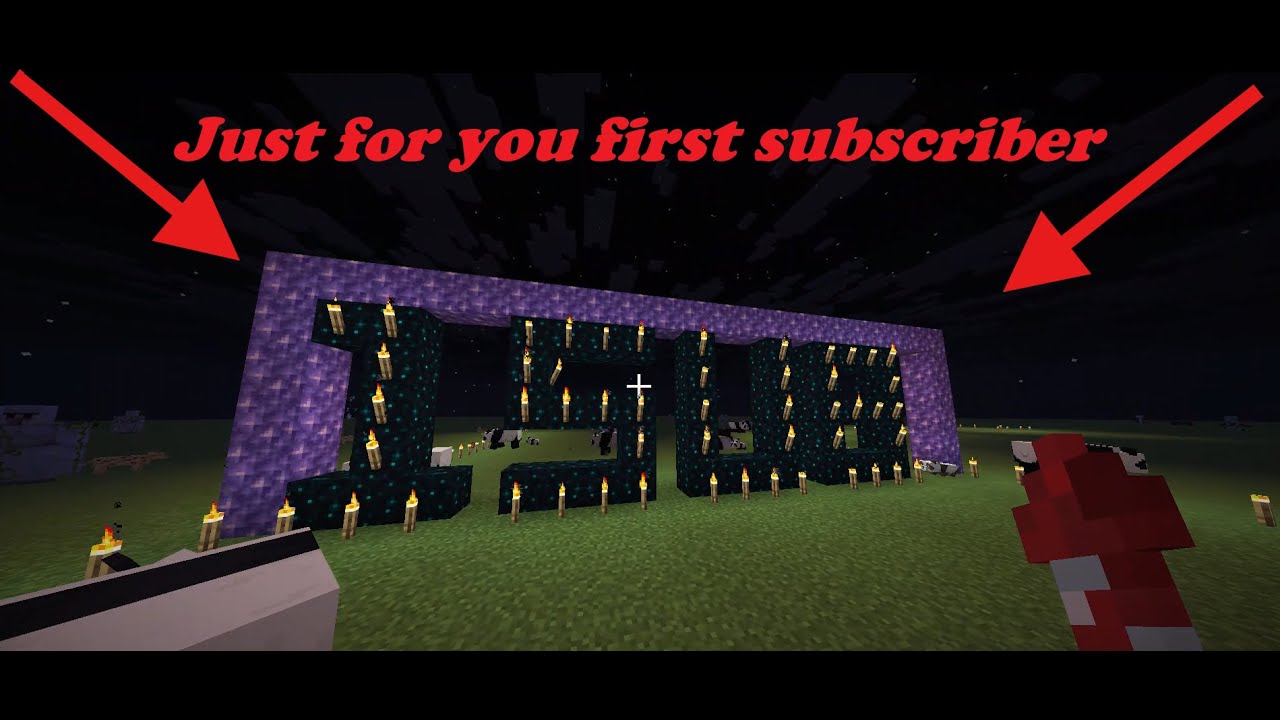 Minecraft : For the First Subscriber