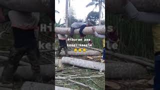 Download Lagu lakone bagio kirun cs MP3