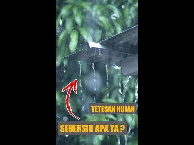 ZOOM IN TETESAN AIR HUJAN LANGSUNG #shorts #short #viral #biology #microscope #mikroskop class=