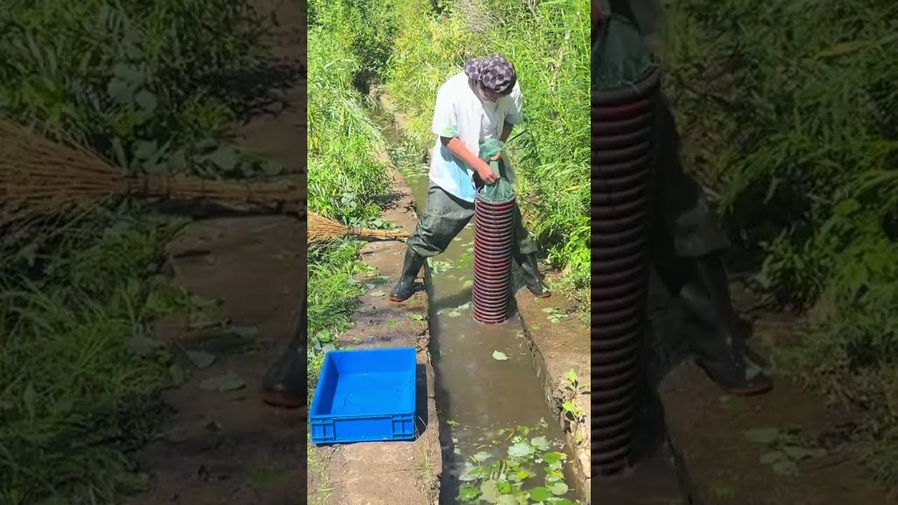 Fishing In Mohe The Northeast Joy Of Outdoor Wild Experiencex 435