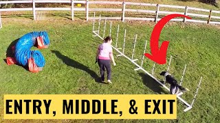 Weave Pole Training: How the 3 Training Pillars Make the Difference  | Dog Agility Training