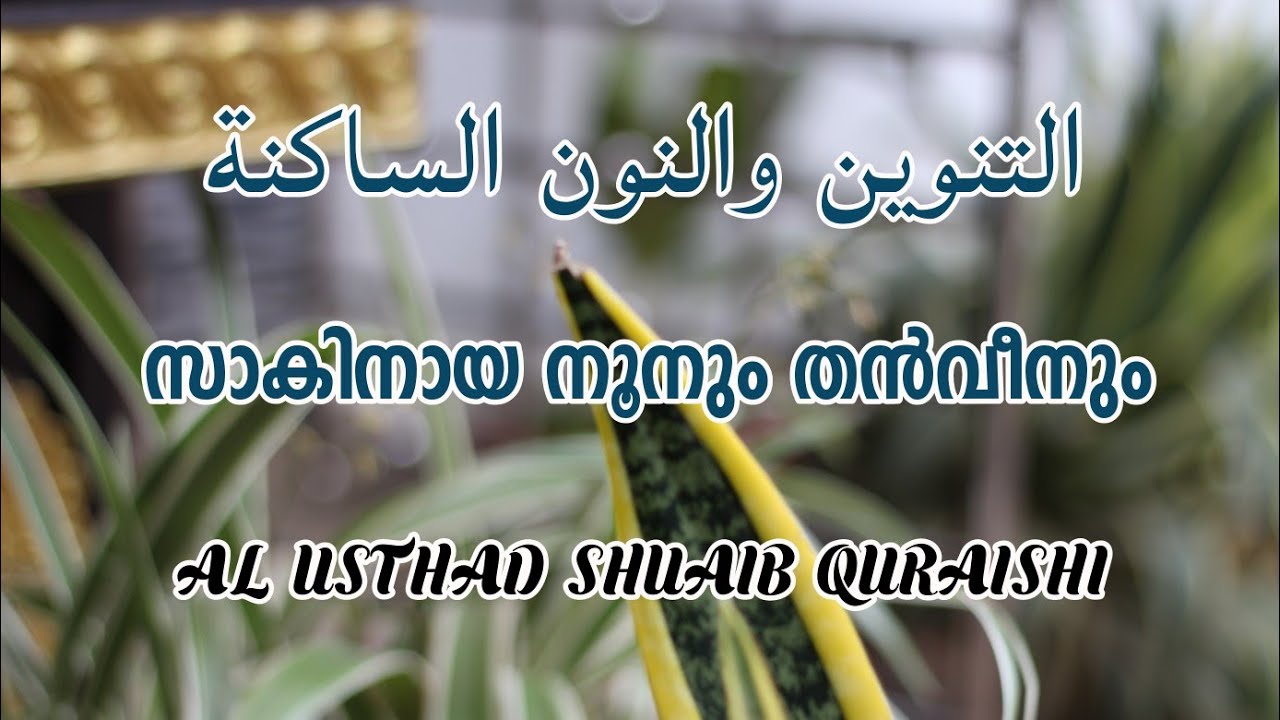 സാകിനായ നൂനും തൻവീനും (Al USTHAD SHUAIB QURAISHI )13 January 2021