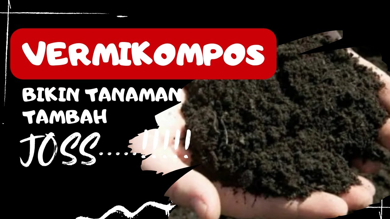 VERMIKOMPOS BIKIN TANAMAN TAMBAH JOSS