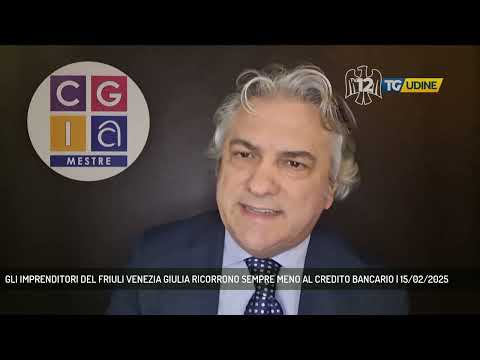 GLI IMPRENDITORI DEL FRIULI VENEZIA GIULIA RICORRONO SEMPRE MENO AL CREDITO BANCARIO | 15/02/2025