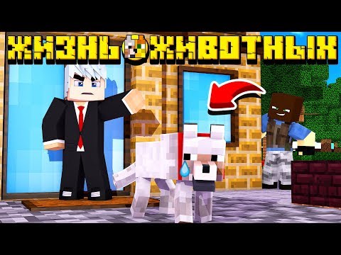 ПСА ВЫГНАЛИ ИЗ ДОМА?! ЖИЗНЬ ЖИВОТНЫХ #1