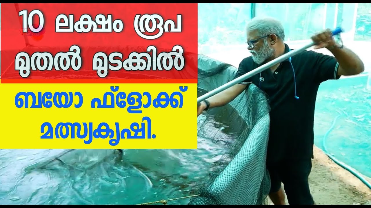 Biofloc Fish Farming Kerala I 10 ലക്ഷം രൂപ മുതൽ മുടക്കിൽ ബയോഫ്ളോക്ക് മത്സ്യ കൃഷി.