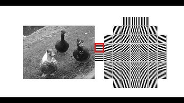 DFT 8x8 blocks (digital photograph)