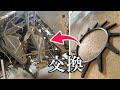 【500時間コンバイン】掻き込みベルト（突起付きベルト）交換 DR6130【整備】