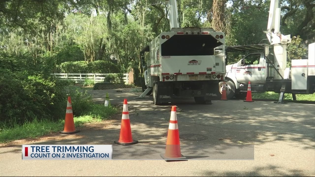 City of overland park tree removal, Paradise TX