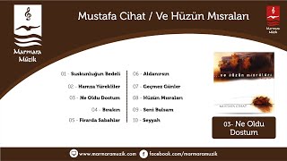 Mustafa Cihat - Ne Oldu Dostum Resimi