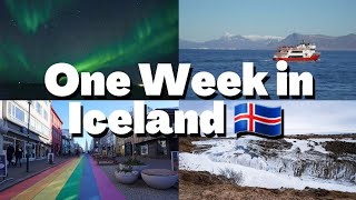 One week in Iceland | Northern Lights, Blue Lagoon, Food Walk, Jökulsárlón and the Golden Circle