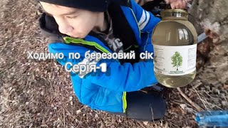 Йдем по березовий сік/Поставили бутилки/Інтересне відео