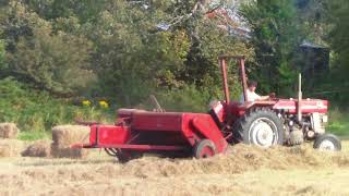 Massey Ferguson 165 bailing hay
