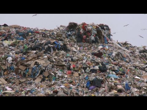 Специальный репортаж "Намусорили"