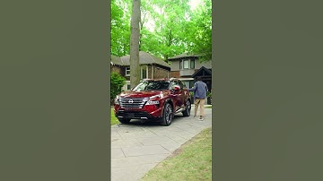 Rogue | Intelligent Around View Monitor