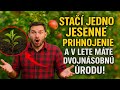 Stačí jedno jesenné prihnojenie a v lete máte dvojnásobnú úrodu!