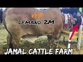 JAMAL CATTLE FARM | COW MANDI SOHRAB GOTH 2019 KARACHI | VIP Tents | Episode 3