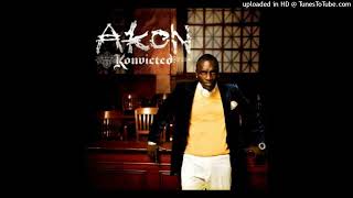 Akon - Never Took The Time