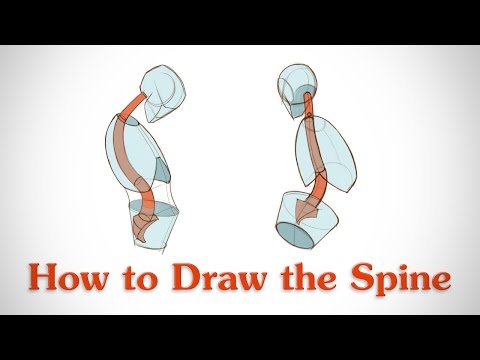 How to Draw the Spine - Human Anatomy for Artists