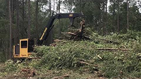 Tigercat loading logs in chipper.