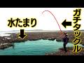月に一度マイナス干潮に現れる水たまりにガチ装備で挑んだ結果