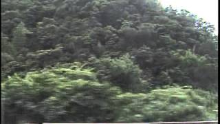 2008.6 臺鐵 逆行列車 右側環島路程景 30