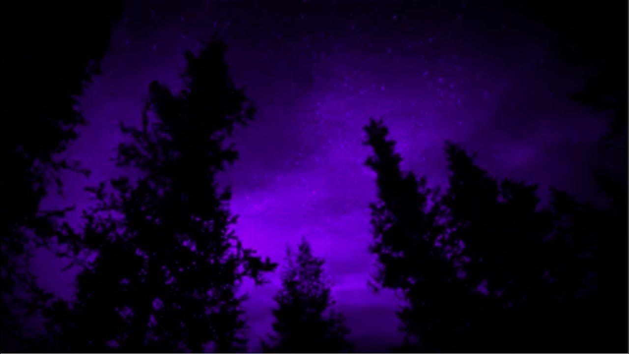 Вечер фиолетовый картинки. Фиолетовый закат. Пион древовидный ночные грозы. Пурпурная ночь. Ночное небо палитра.