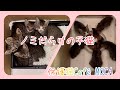 ノミだらけの子猫たち。この小さい体にノミがたくさんいました。多頭の家の子は本当にノミが多いです。#保護猫 #子猫