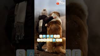 Yeh Dosti Hum Nahi Todenge Cover  Friendship Day   Screen friendshipday friendsforever