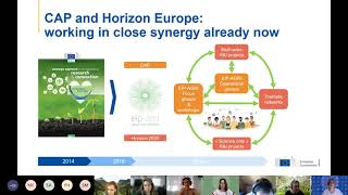 Celebrity Kerstin Rosenow - Presentation at webinar 'Preparing the CAP Strategic Plans' Wealth