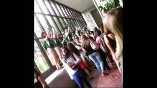 Binghamton University 2015-2016 Orientation Advisors - Memory Video