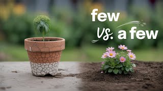 Famous Difference Between Few and A Few with Easy Examples | Grammar for Beginners Wealth