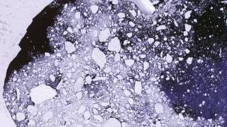 Antarcticas Larsen B Ice Shelf The Final Act