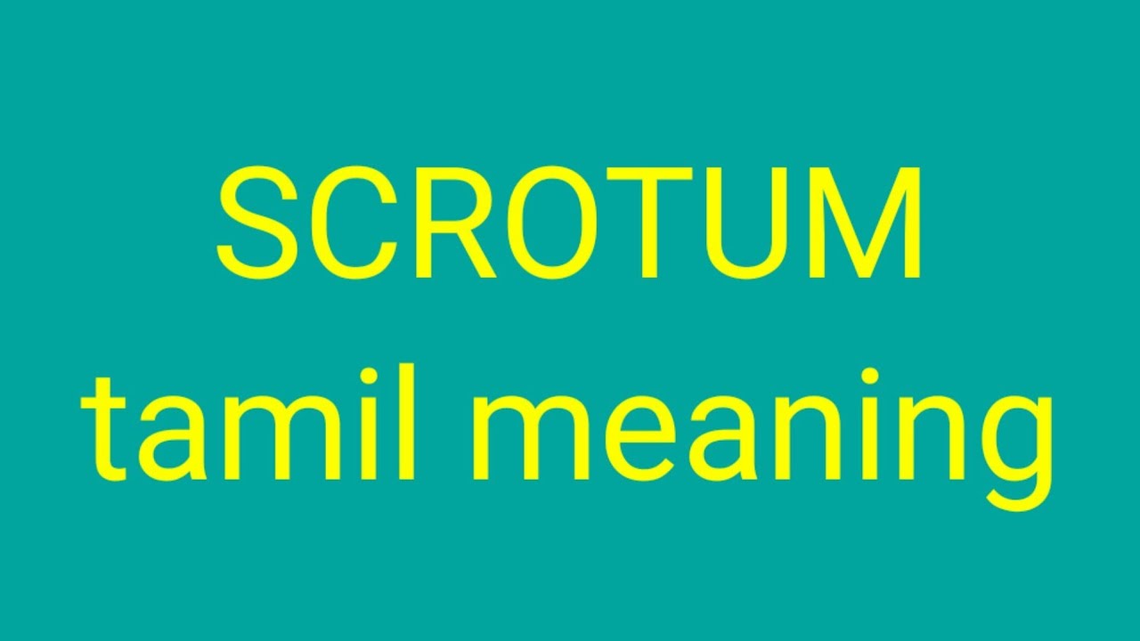 Scrotum Tamil Meaning Sasikumar Youtube