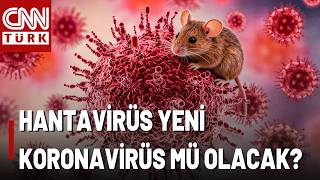 Dünya Bu Virüsü Konuşuyor: Hantavirüs! Küresel Sağlık Kuruluşları Alarma Geçti, Tehdit Büyük Mü?